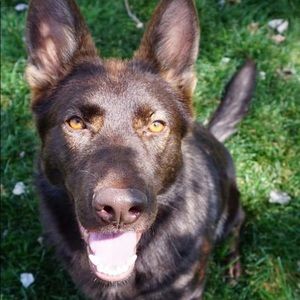 Meet your Posher, Debbie